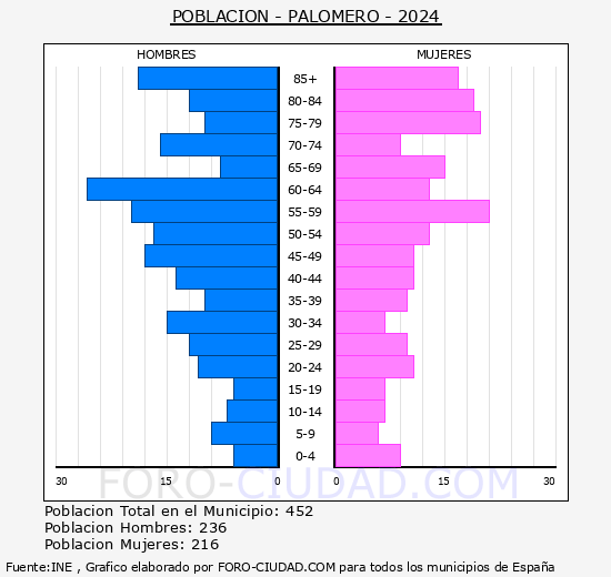 Palomero - Pirmide de poblacin grupos quinquenales - Censo 2024