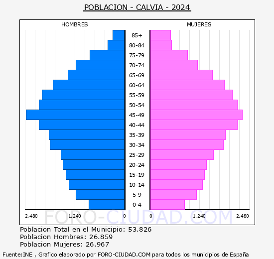 Calvi� - Pir�mide de poblaci�n grupos quinquenales - Censo 2024