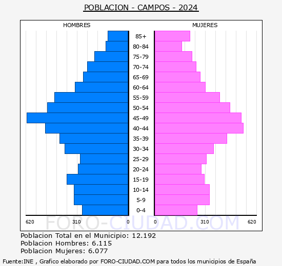 Campos - Pir�mide de poblaci�n grupos quinquenales - Censo 2024