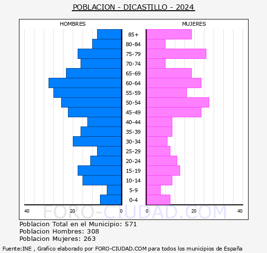 Dicastillo - Pirmide de poblacin grupos quinquenales - Censo 2024