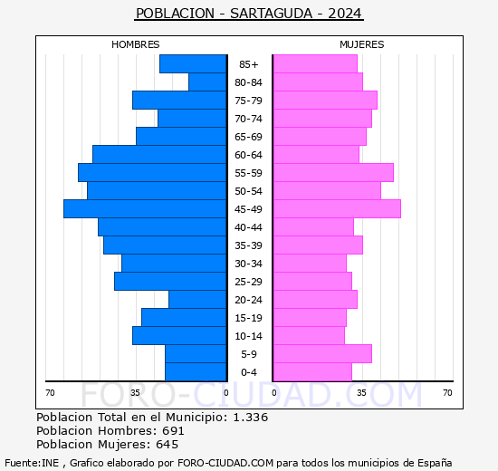Sartaguda - Pirmide de poblacin grupos quinquenales - Censo 2024