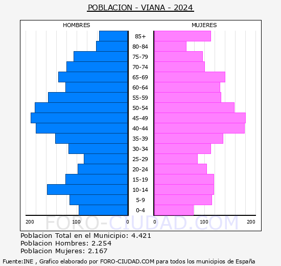 Viana - Pirmide de poblacin grupos quinquenales - Censo 2024