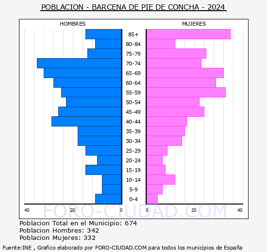 Brcena de Pie de Concha - Pirmide de poblacin grupos quinquenales - Censo 2024