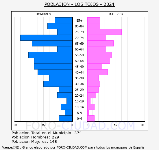 Los Tojos - Pirmide de poblacin grupos quinquenales - Censo 2024