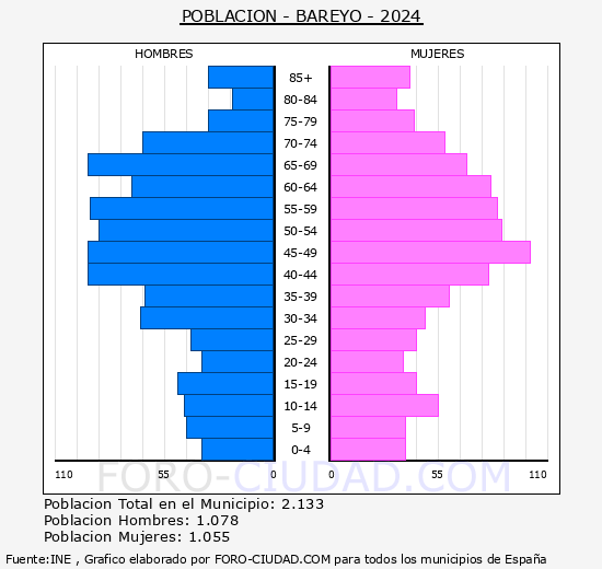 Bareyo - Pir�mide de poblaci�n grupos quinquenales - Censo 2024