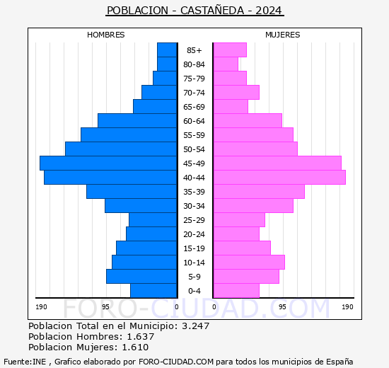 Castaeda - Pirmide de poblacin grupos quinquenales - Censo 2024