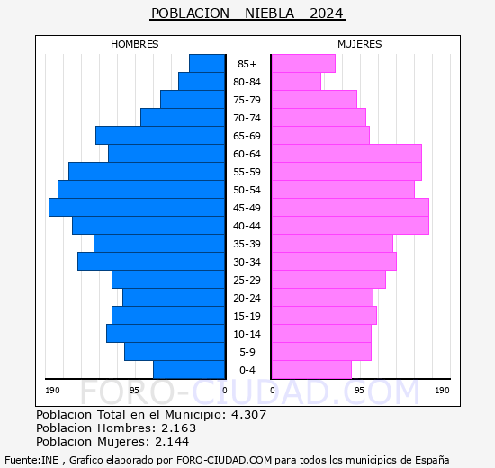 Niebla - Pirmide de poblacin grupos quinquenales - Censo 2024