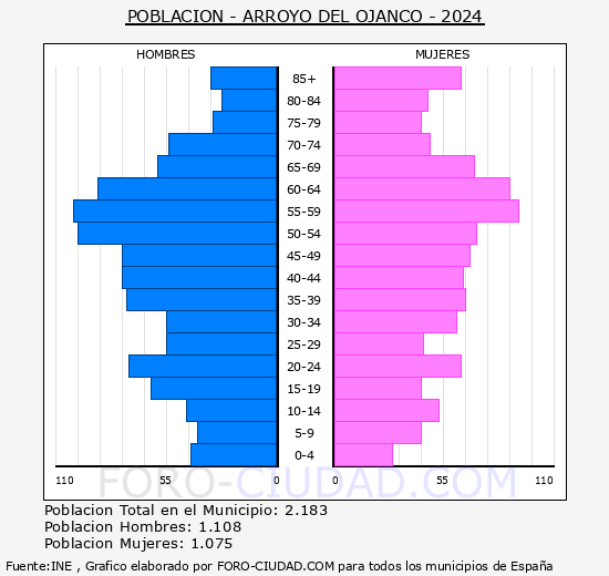 Arroyo del Ojanco - Pirmide de poblacin grupos quinquenales - Censo 2024