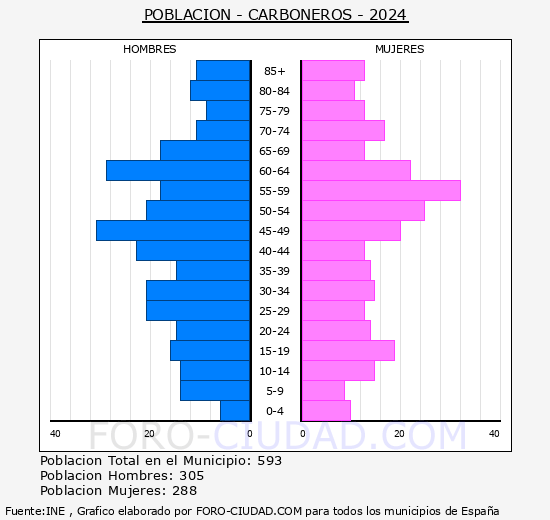 Carboneros - Pirmide de poblacin grupos quinquenales - Censo 2024