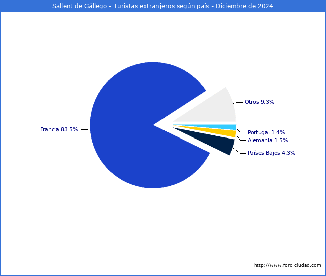 Numero de turistas de origen Extranjero por pais de procedencia en el Municipio de Sallent de Gllego hasta Diciembre del 2024.