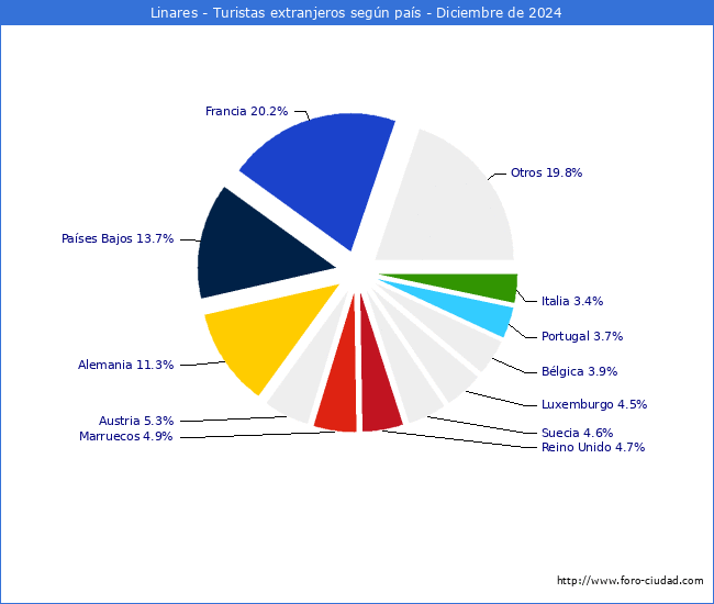 Numero de turistas de origen Extranjero por pais de procedencia en el Municipio de Linares hasta Diciembre del 2024.