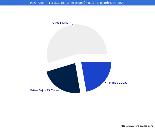 Numero de turistas de origen Extranjero por pais de procedencia en el Municipio de Pozo Alcn hasta Diciembre del 2024.