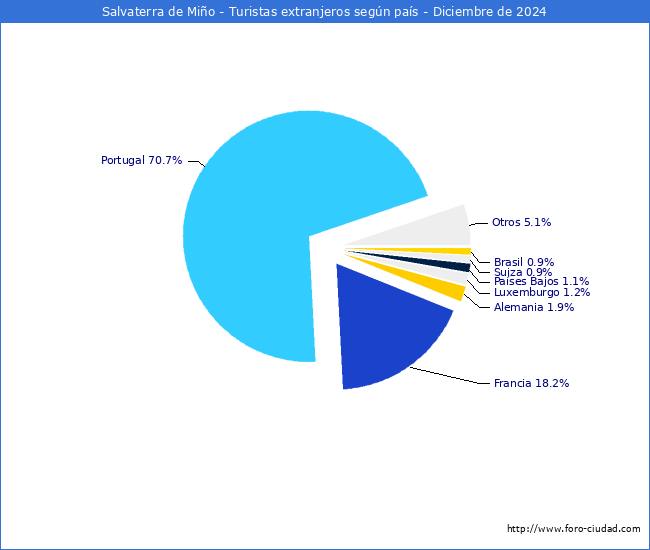 Numero de turistas de origen Extranjero por pais de procedencia en el Municipio de Salvaterra de Mio hasta Diciembre del 2024.